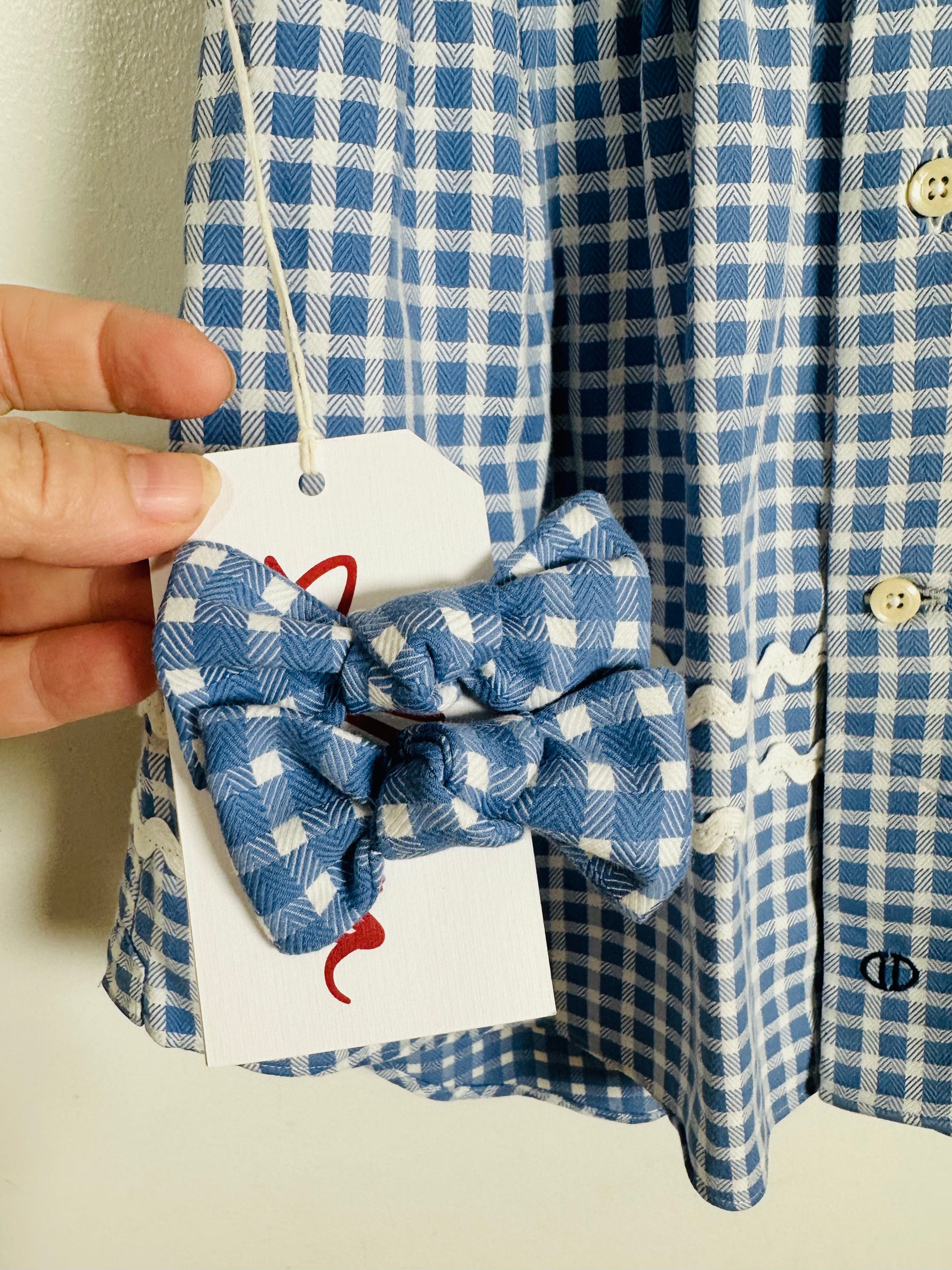 Blue and white checkered hair clips with a matching shirt on a plain background