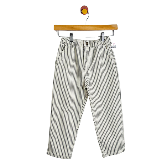 Striped pants on a hanger against a white background