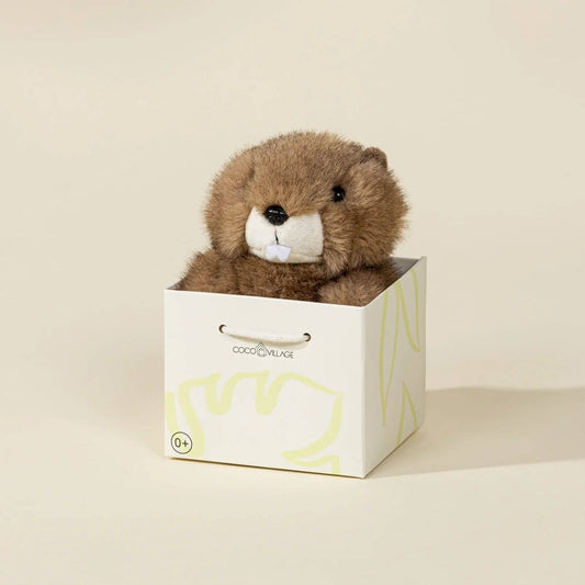 Plush bear toy in a white box with a visible brand logo on a beige background