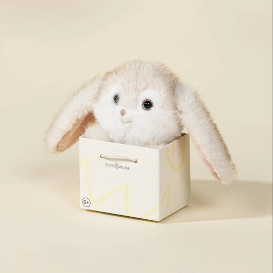 Plush bunny toy in a box on a beige background