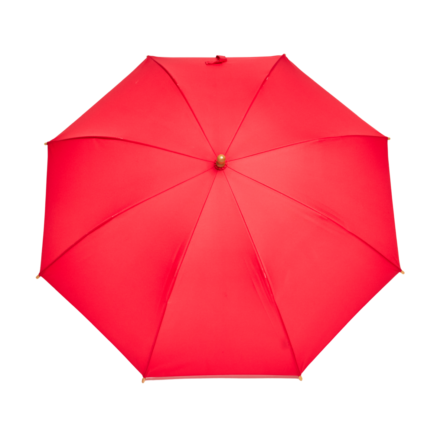 Red umbrella on a white background
