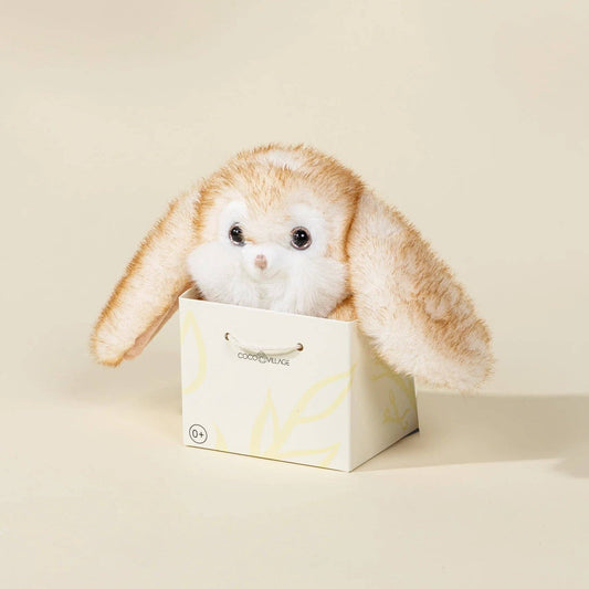Plush bunny toy in a white box on a beige background