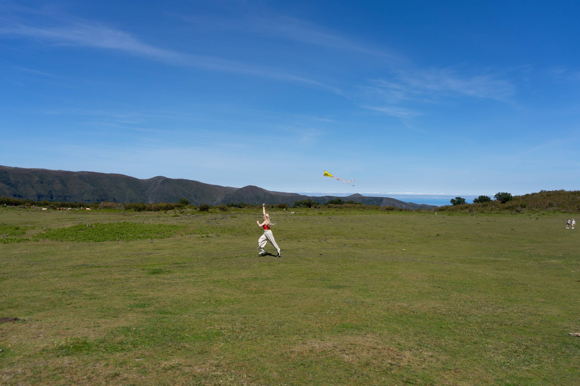 Person flying a kite in a grassy field with mountains in the background
